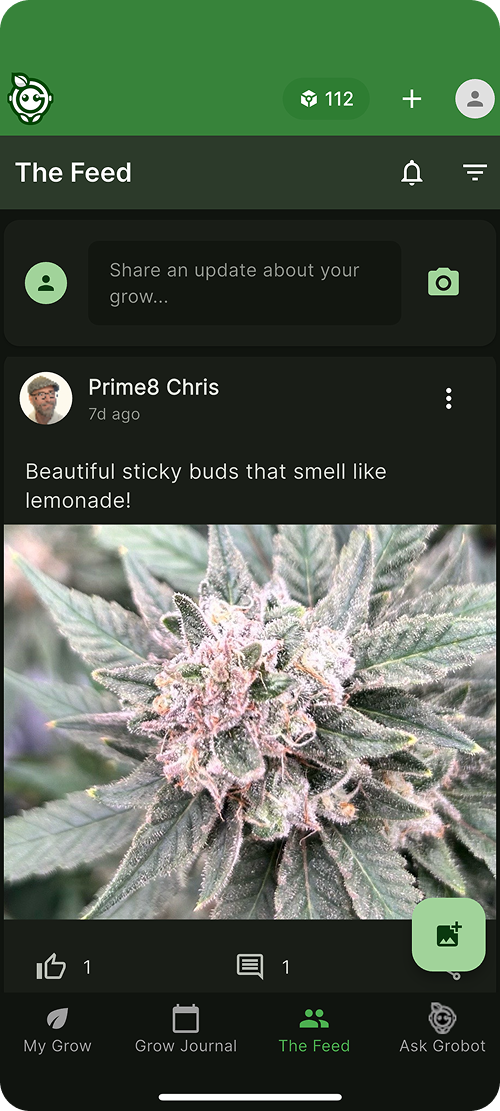 Grobotix Community Feed - Connect with Cannabis Growers